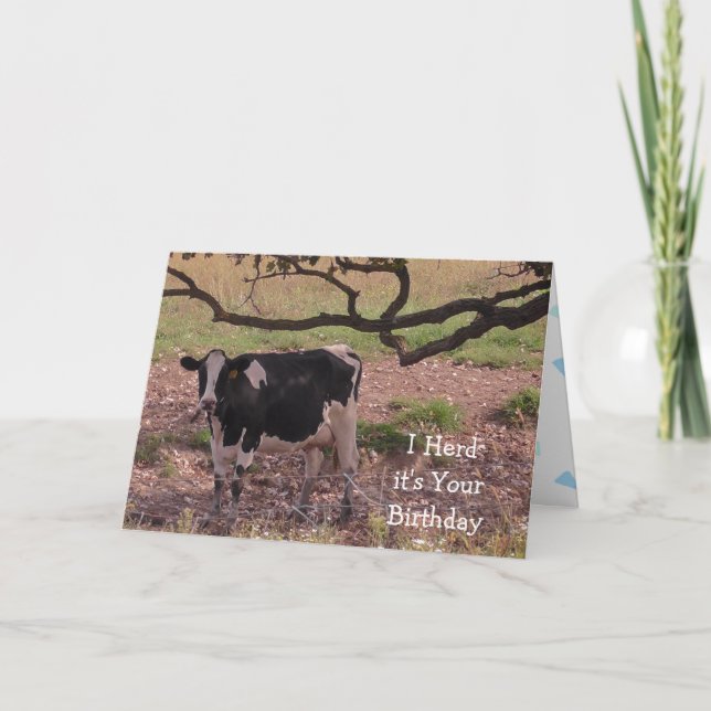 Carte Sainte vache, tu deviens vieux, Anniversaire (Devant)