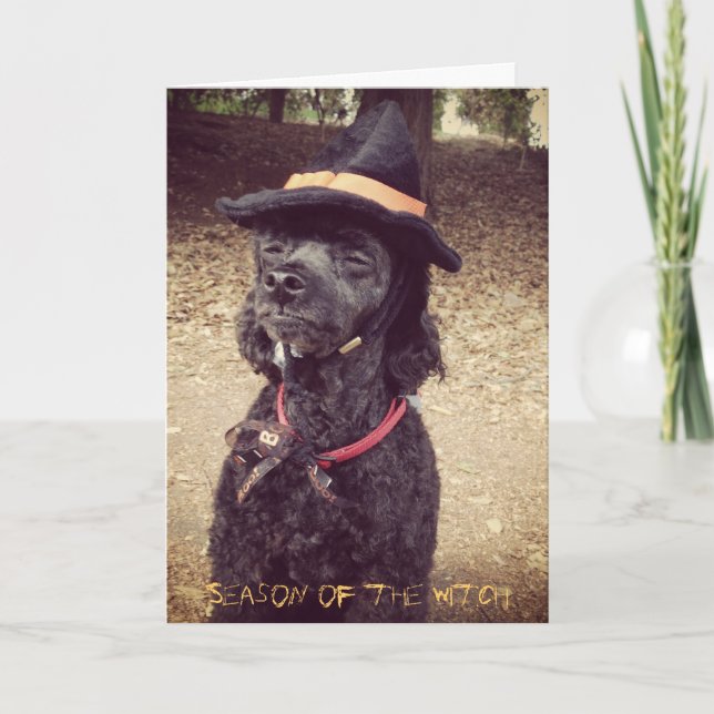 Carte Saison de la sorcière (Devant)