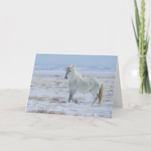 Carte saisonnière Wild Mustang