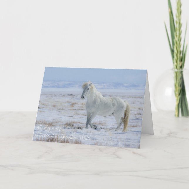 Carte saisonnière Wild Mustang (Devant)
