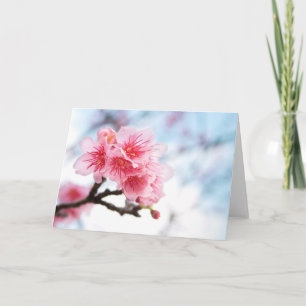 Carte Sakura