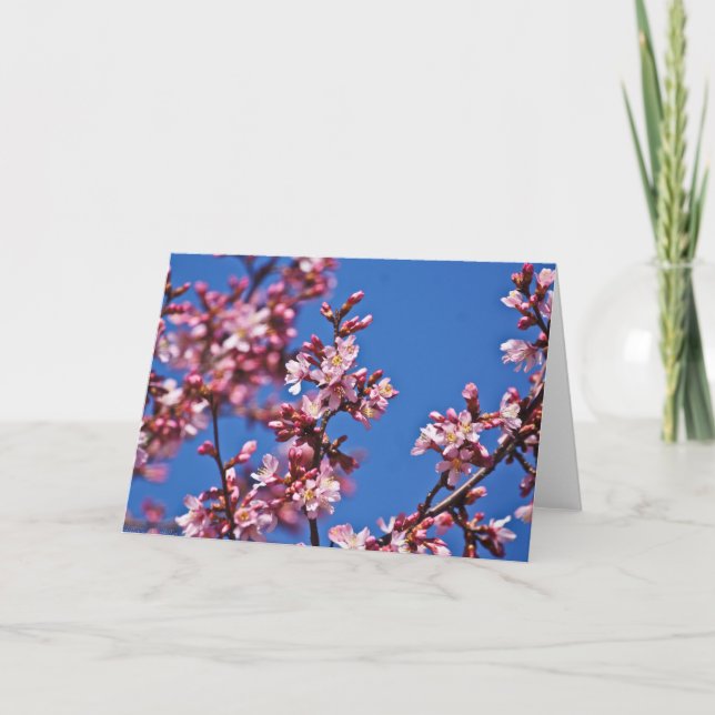 Carte Sakura Cerry Blossoms Touché Bleu (Devant)