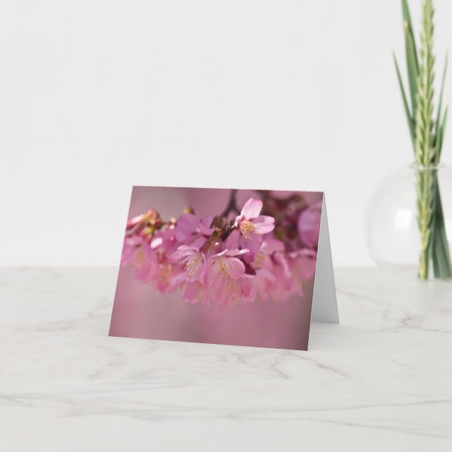 Carte Sakura Cherry Blossoms Delicate Pink Bouquet (Devant)