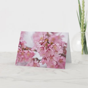 Carte Sakura Cherry Blossoms rose pâle