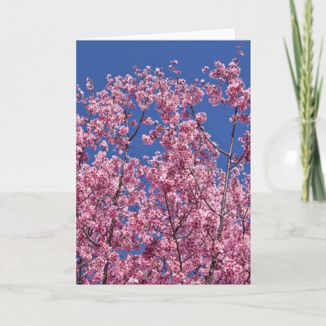 Carte Sakura Cherry Fleurit Dans Le Bleu (Devant)