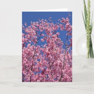 Carte Sakura Cherry Fleurit Dans Le Bleu