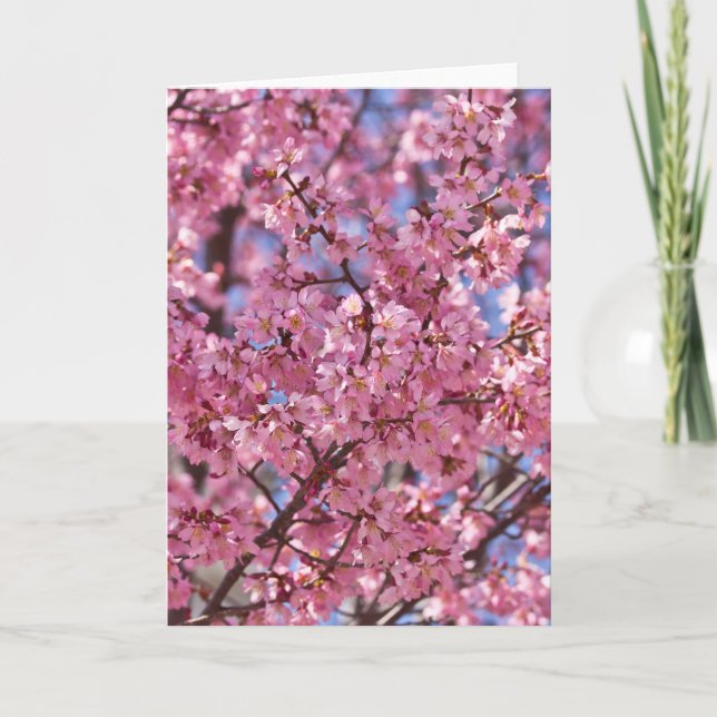 Carte Sakura Pink Cherry Blossom Sky (Devant)