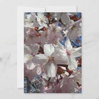 Carte Sakura Tree en fleurs de cerisier vierge