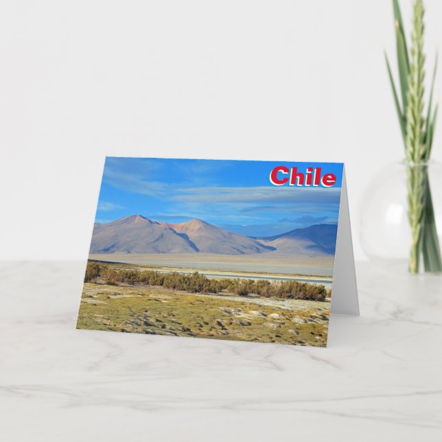 Carte Salar del Huasco, Chili (Devant)