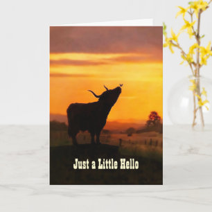 Carte Salut Bonjour Joli Veau des Highlands Vache au Pap