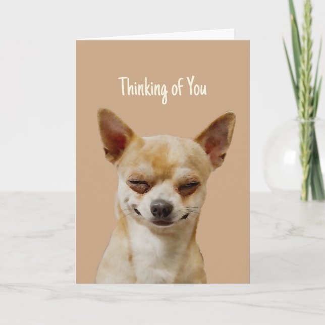 Carte Salut Bonjour Penser de vous drôle rire Chihuahua (Devant)