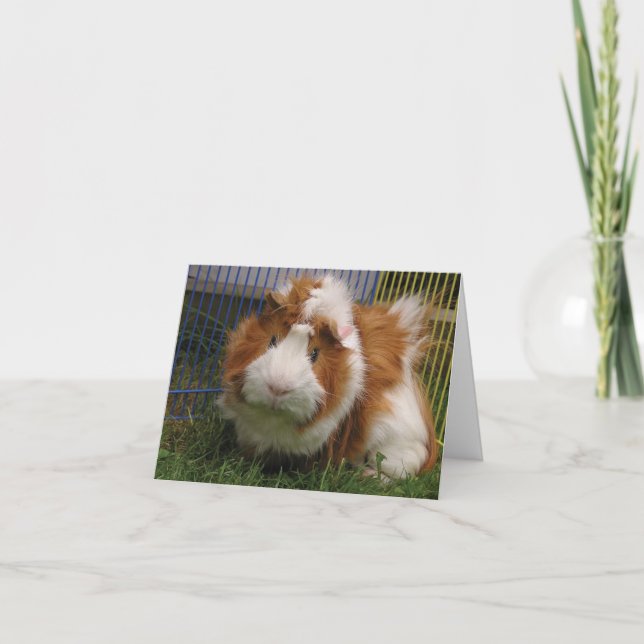 Carte Salut là ! (Farceur) (Devant)