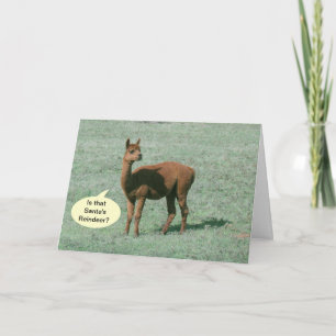 Carte - Salutation - Alpaca salutations