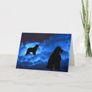 Carte Salutation blanche ~ Nouvelles sur la glace