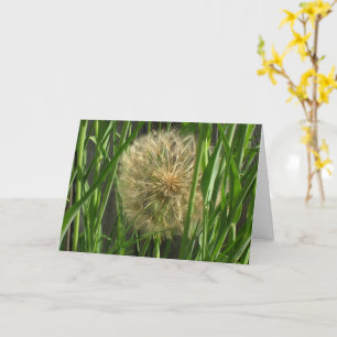 Carte - Salutation - Boule de Puff