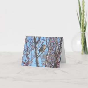 Carte - Salutation - Bruant dans les branches