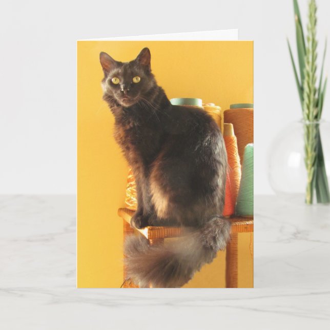 Carte - salutation - Chat avec fil (Devant)