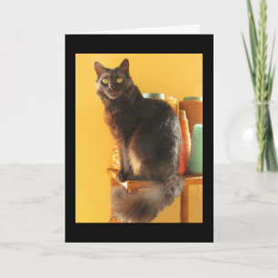 Carte - Salutation - Chat avec Fil