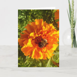 Carte Salutation d'abeilles et de fleurs