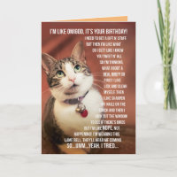 Salutation D'Anniversaire Amusante D'Un Chat À Un