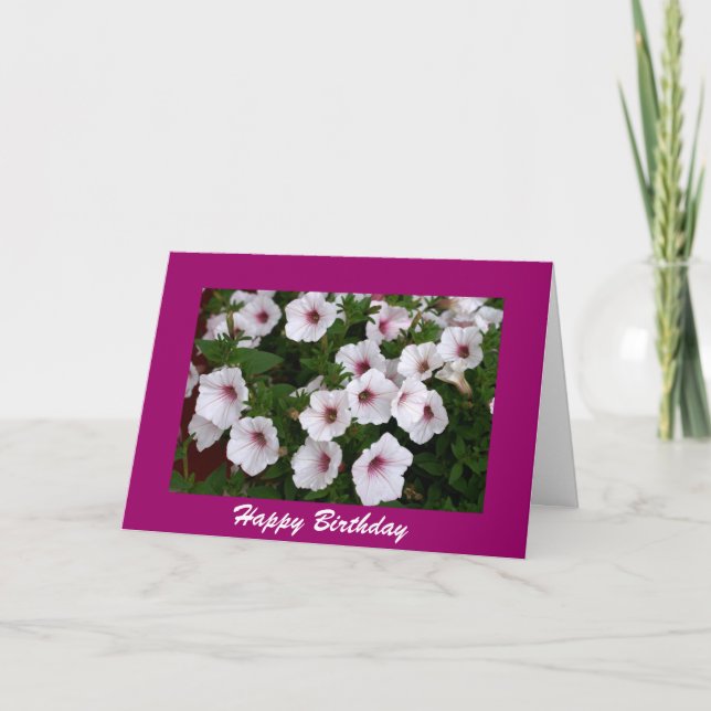 Carte Salutation d'anniversaire de Petunia (Devant)