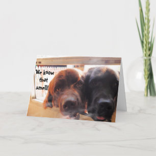 Carte Salutation d'anniversaire ~ Humour de chien