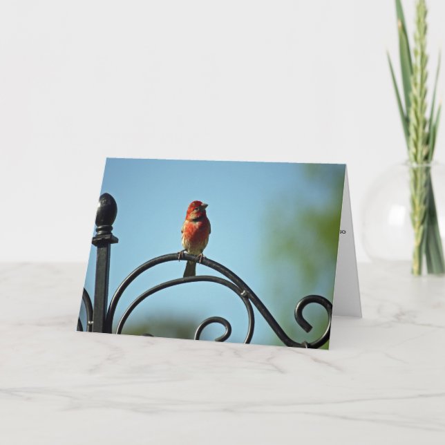 Carte Salutation de la Fête des Mères de Little Red Bird (Devant)
