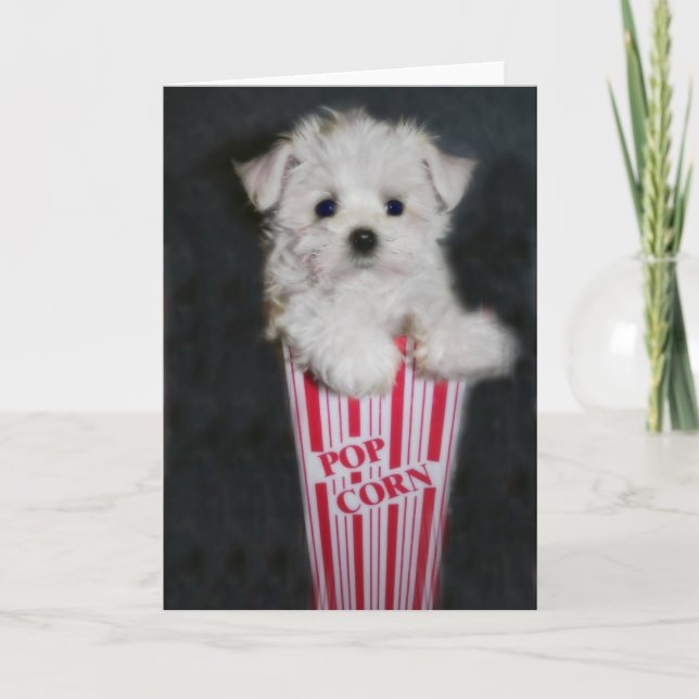 Carte Salutation de soirée cinéma (Devant)