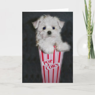 Carte Salutation de soirée cinéma