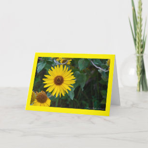 Carte Salutation de tournesol