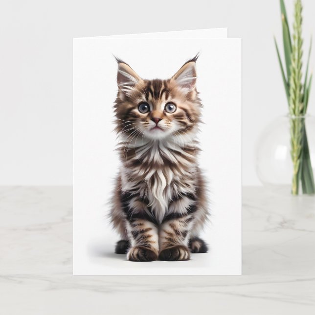 Carte Salutation Fluffy Long-Haired Maine Coon Cat Blank (Devant)