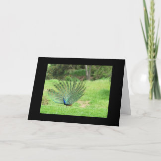Carte - Salutation - Peacock 2 côtés