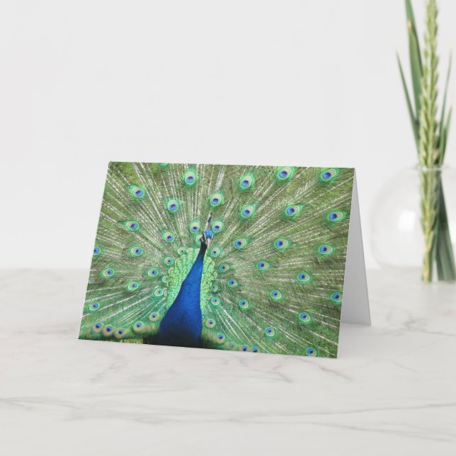 Carte - Salutation - Plumes de queue de paon (Devant)