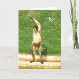 Carte Salutation singe