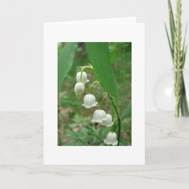 Carte Salutation vide du muguet (Devant)