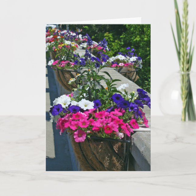 Carte Salutations d'anniversaire, fleurs en Leland (Devant)
