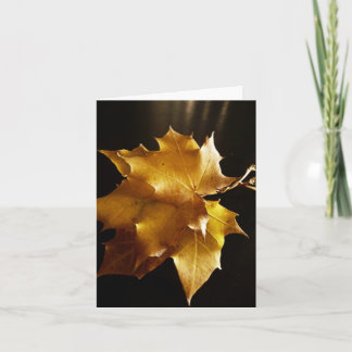 Carte Salutations d'automne