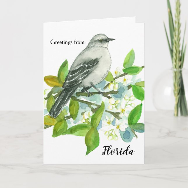 Carte Salutations de blanc de moqueur de la Floride (Devant)