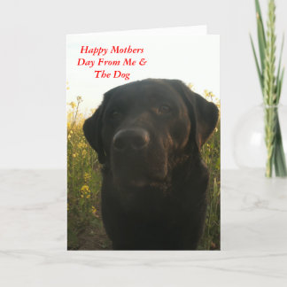 Carte Salutations de la fête des mères