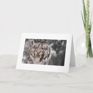 Carte Salutations de Pride Rock