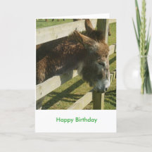 Salutations Donkey