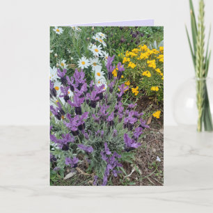 Carte Salutations Florales de Lavande Violette et Fleur 