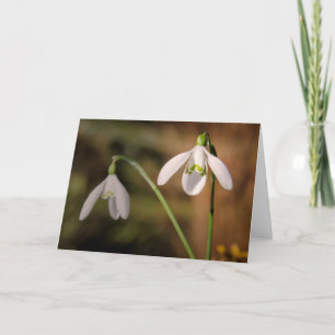 Carte Salutations Snowdrops