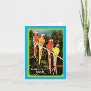 Carte Salutations vintages De Floride