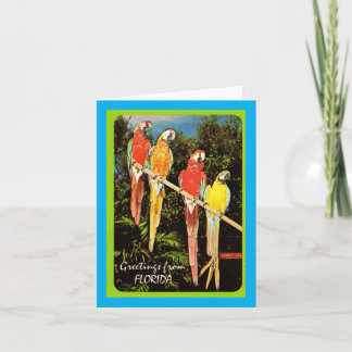 Carte Salutations vintages De Floride