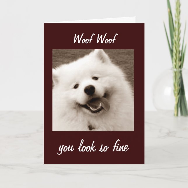 CARTE SAMOYED DIT QUE VOUS REGARDEZ **FINE POUR LE TOURN (Devant)