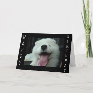 CARTE SAMOYED DIT SAVE ME GÂTEAU/I LOVE U'ANNIVERSAIRE S