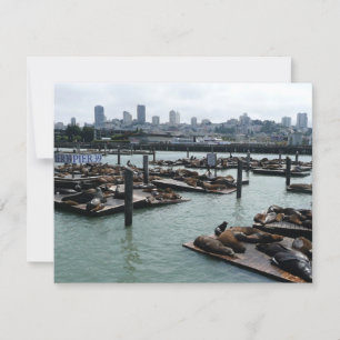 Carte San Francisco et Pier 39 Sea Lions City Skyline
