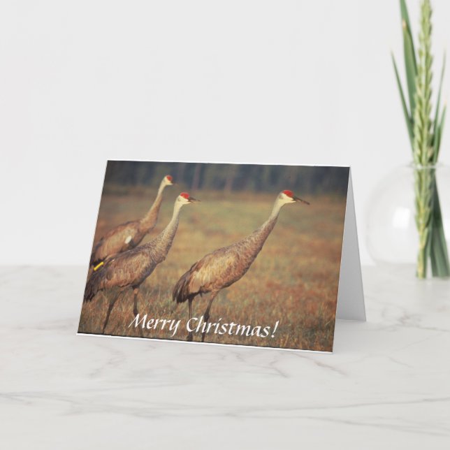 Carte / Sandhill Grues / Noël (Devant)