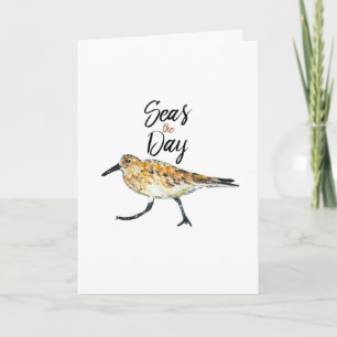 Carte Sandpiper Art Seas La Citation Du Jour